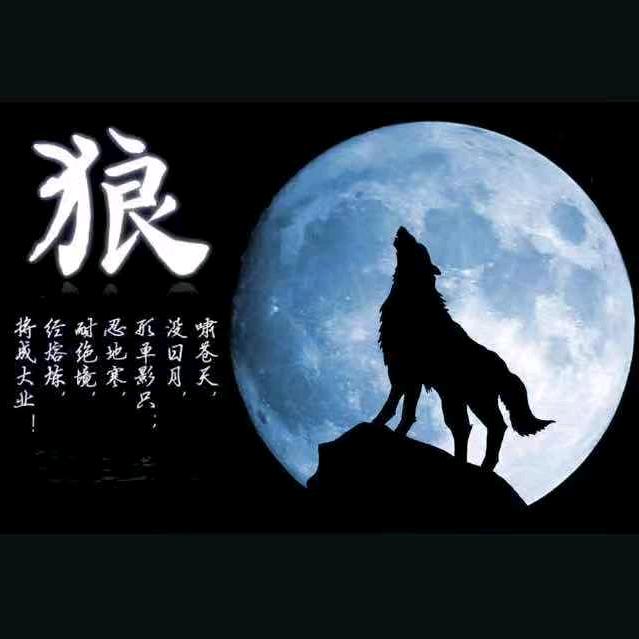 西北狼腾
