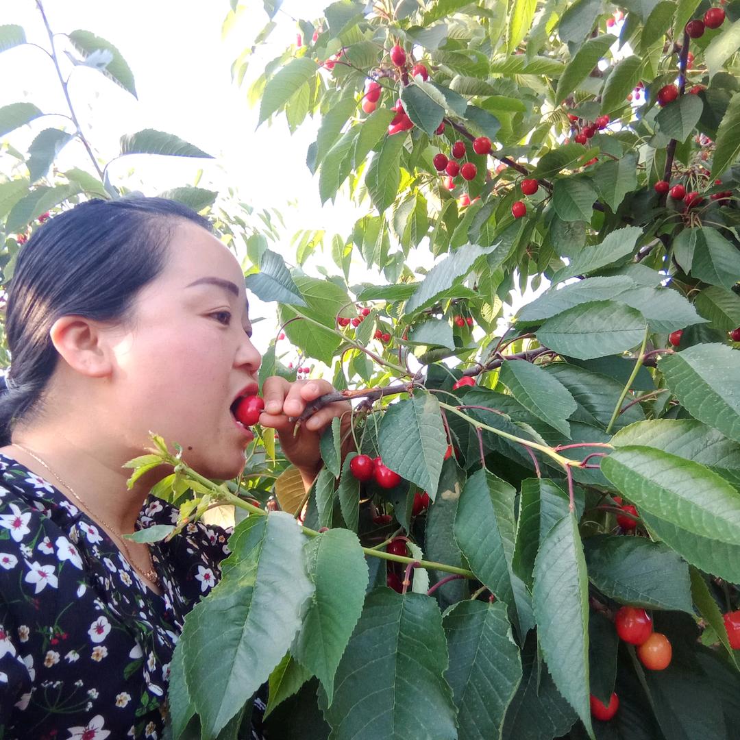 💕᭄ꦿ很幸运ོ࿆遇见你᭄🕊