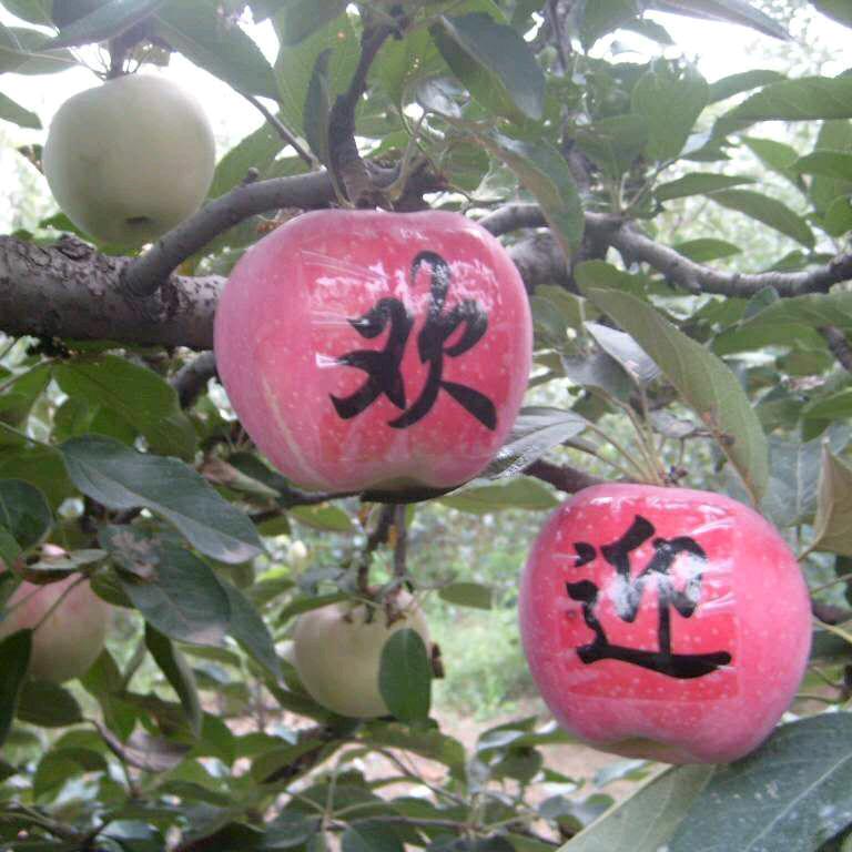 果缘