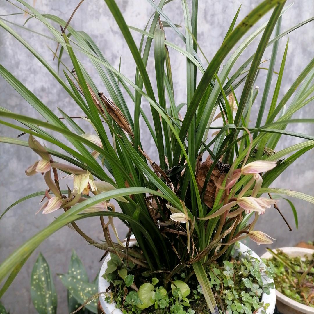 过好每一天就好