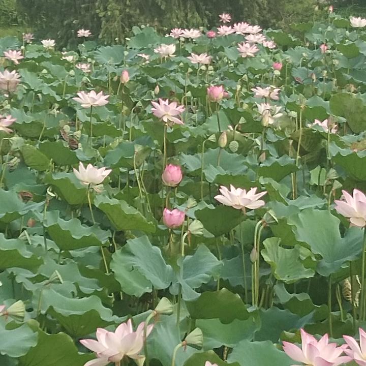 龙居新会场内玲玲美容养生