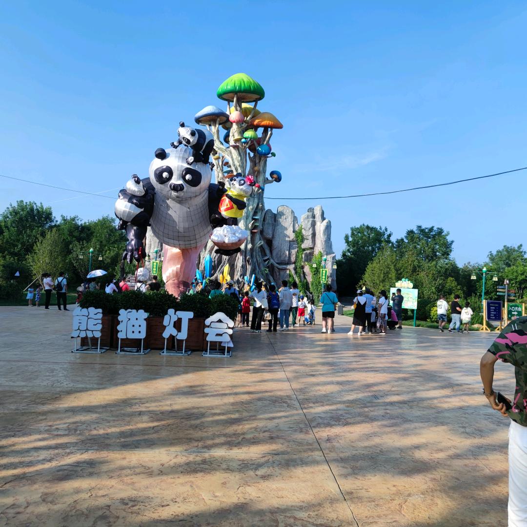 阳¥宸