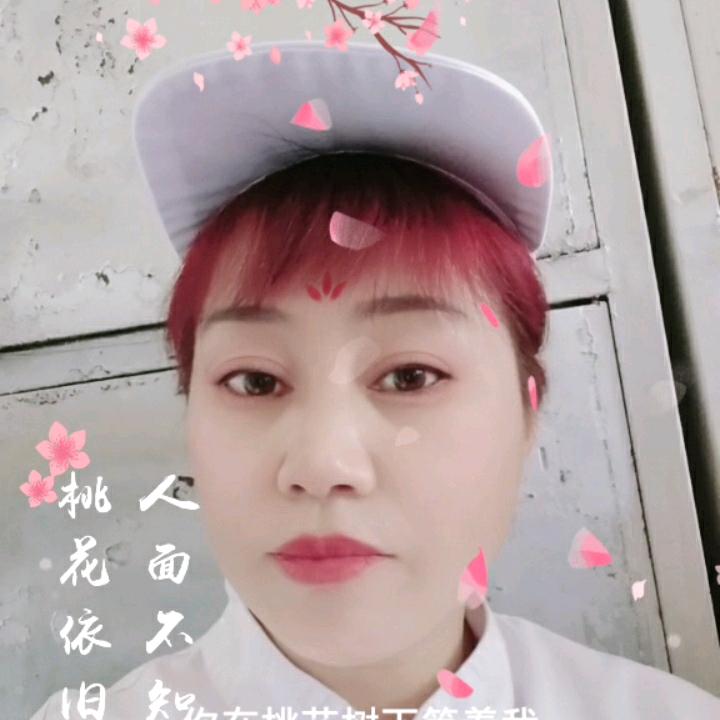 豪华霞星