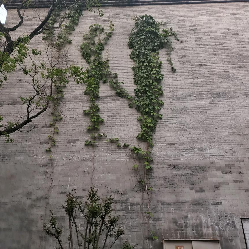 微凉