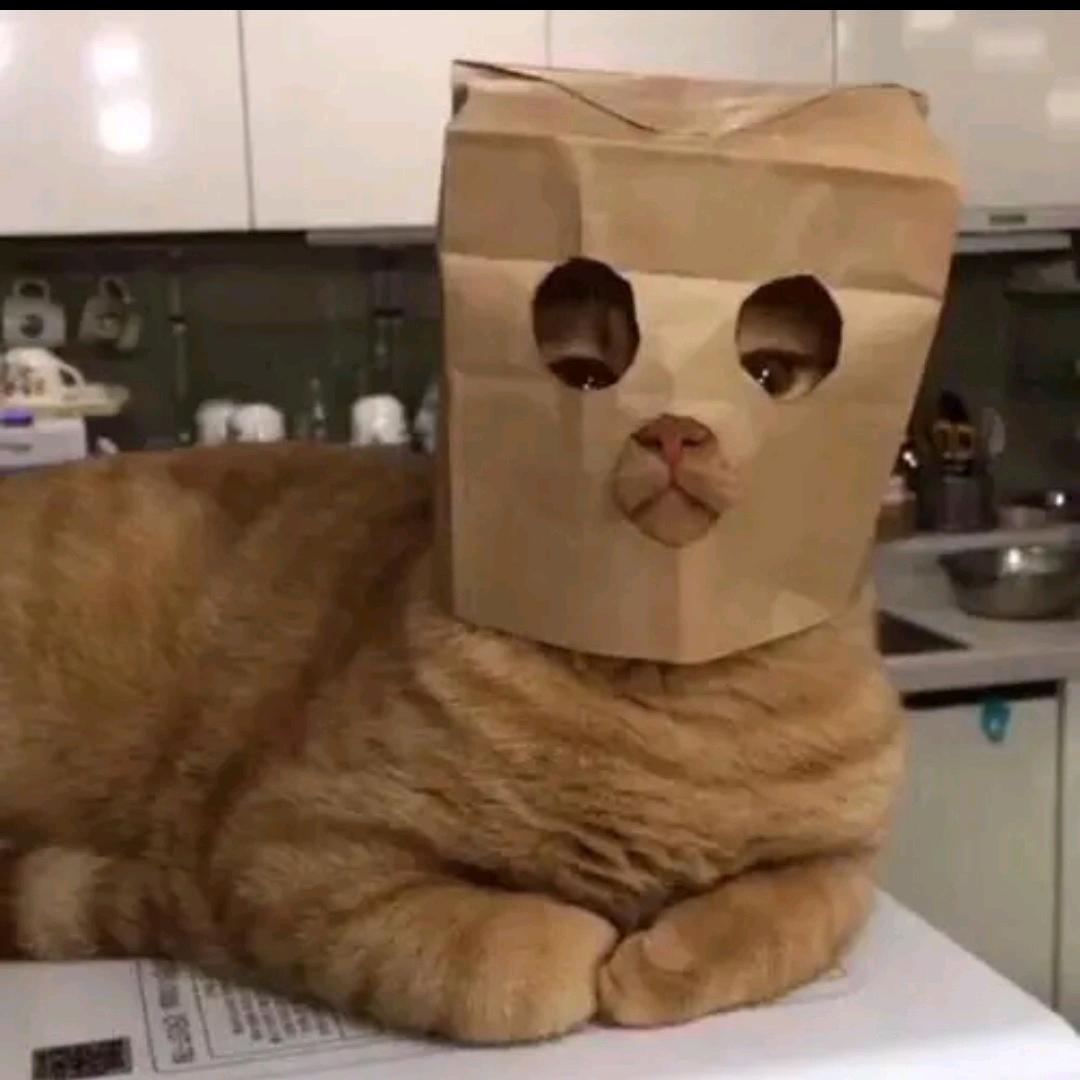 假装我是彩虹