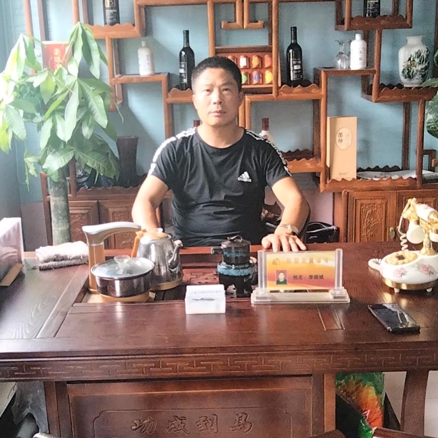 河北卓岗无动力风球风帽，防倒灌，墙体风帽