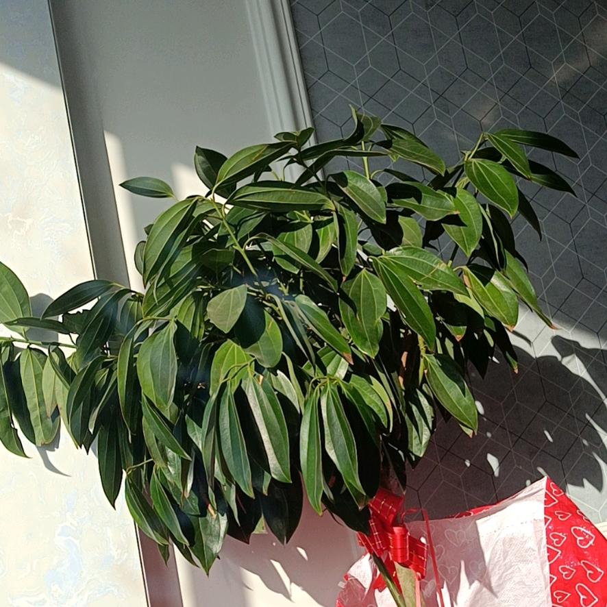 奔跑的草民头像