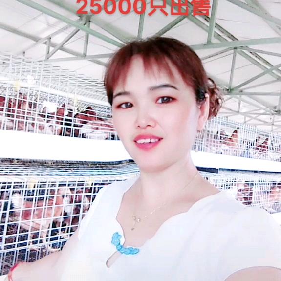 王氏禽业高海燕