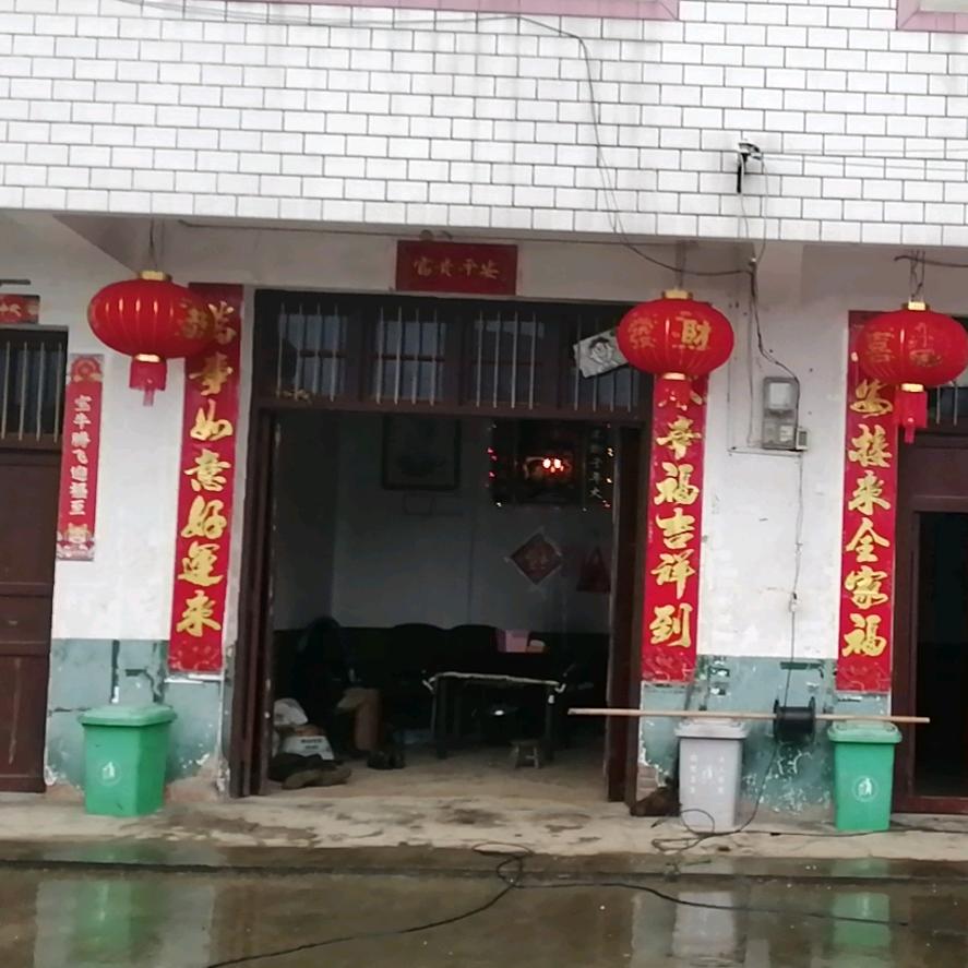 杨羊羊