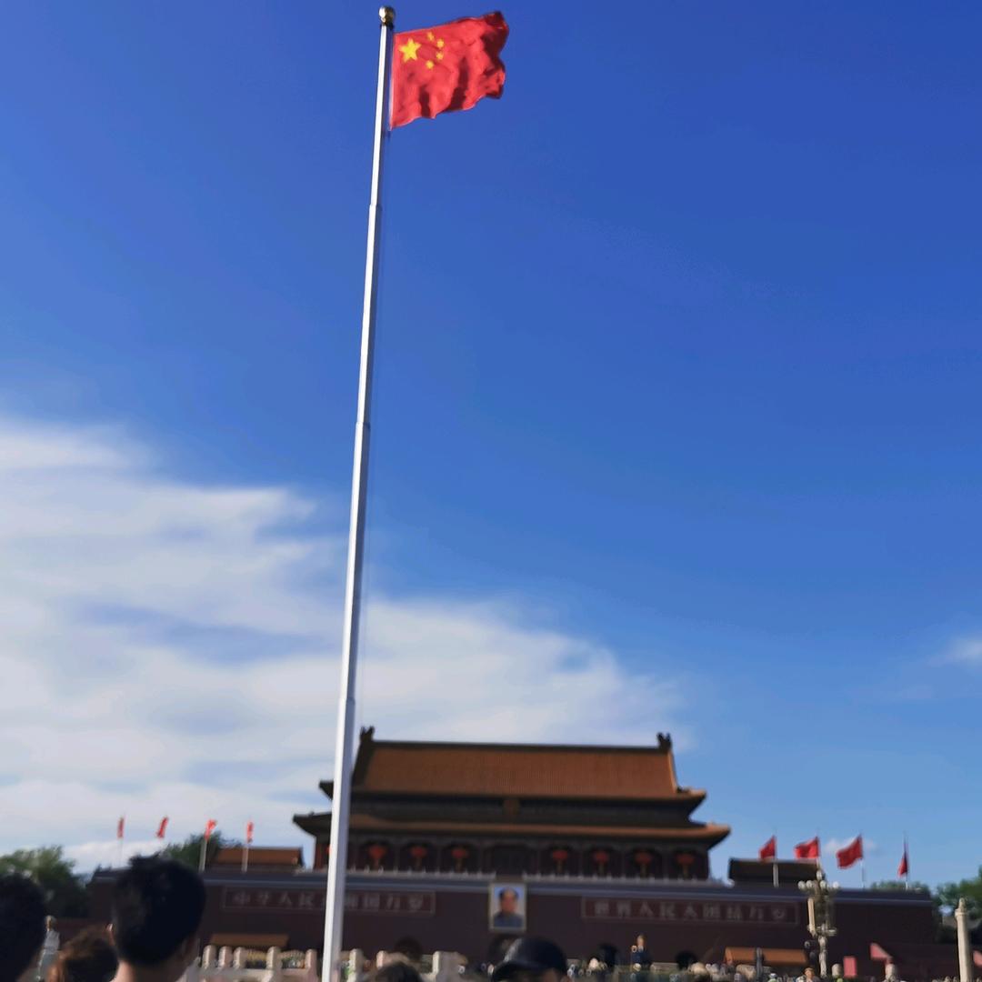 北极的雪