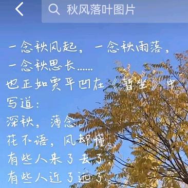 二七大天鹅口腔门诊部