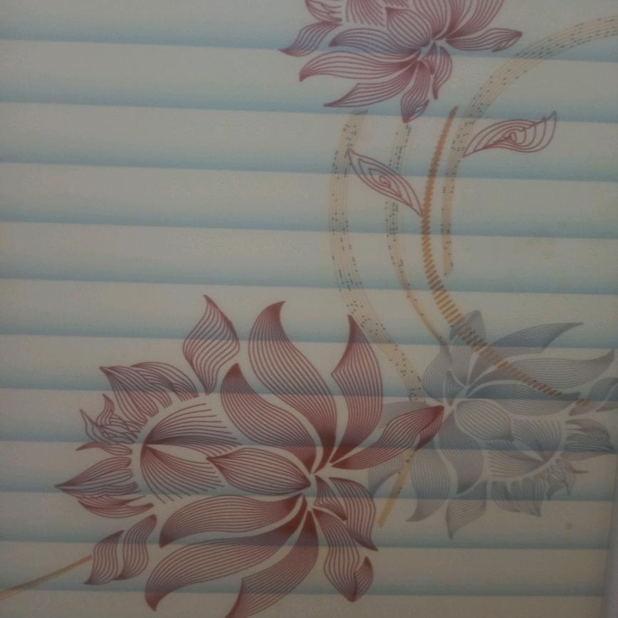 阿香的晚年生活