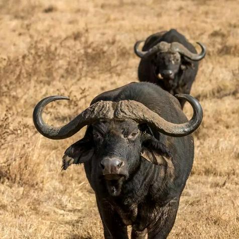 豫漏防水材料西安峰哥