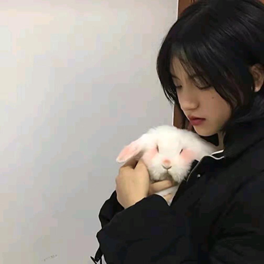 枸杞