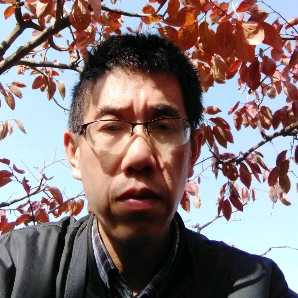 山西蒲州青柿--明清皇家贡品