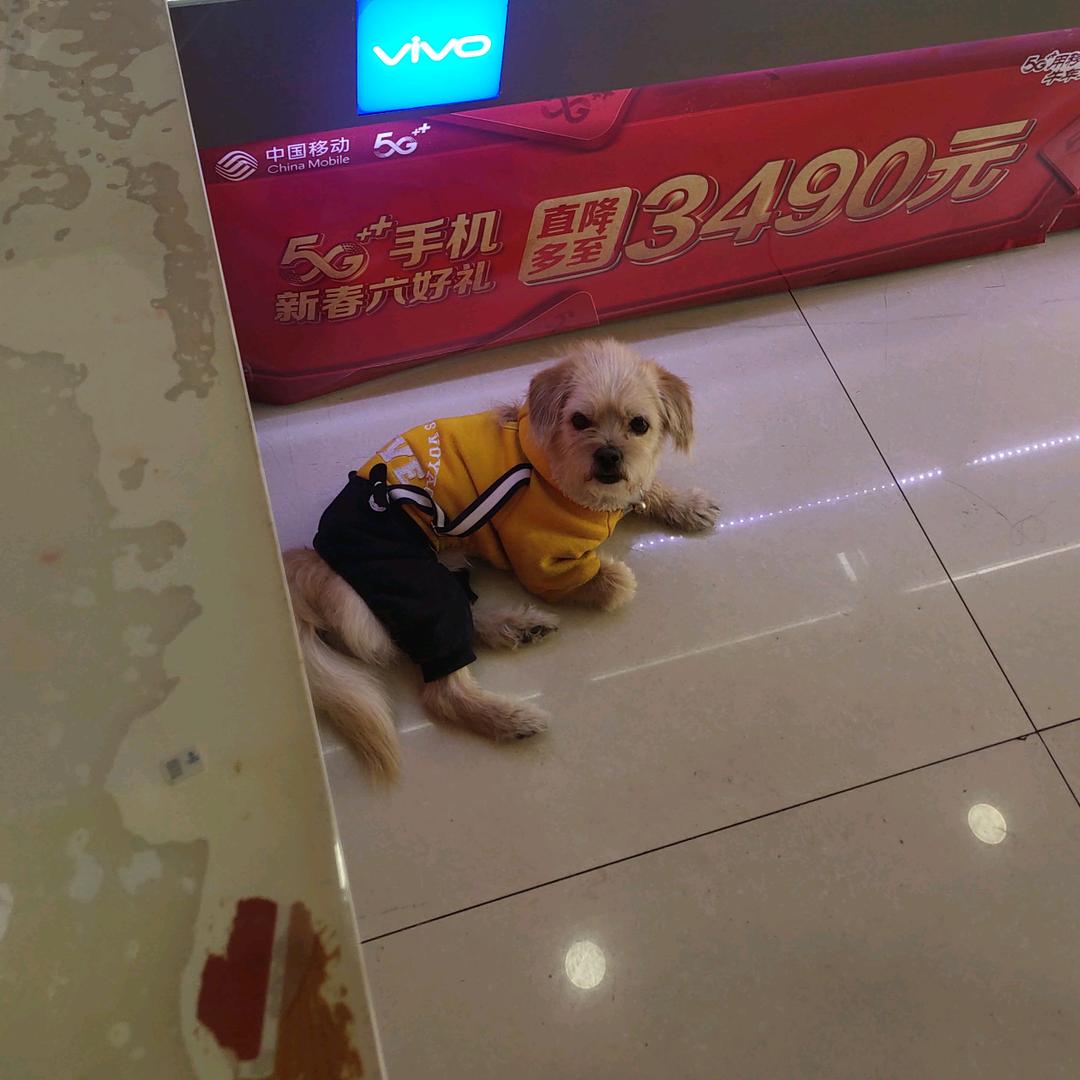 时光煮雨我煲汤