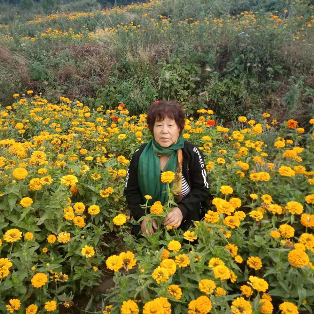 ᵒ̴̶̷̤荷塘月色ᵒ̴̶̷̤