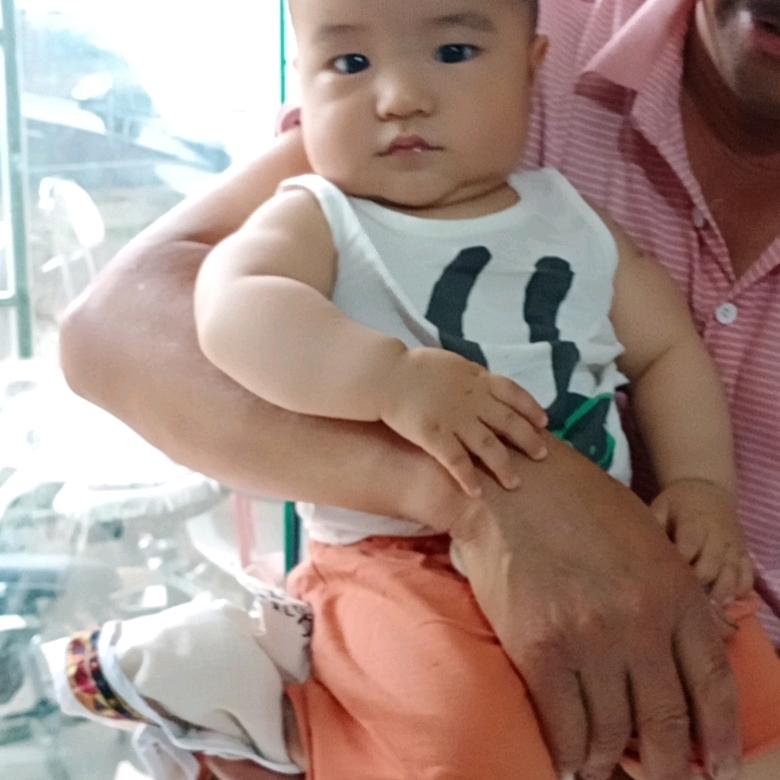 青青子吟