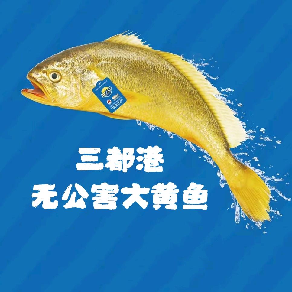 三都港海鲜旗舰店