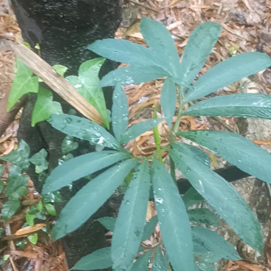 从事防水17年，修心