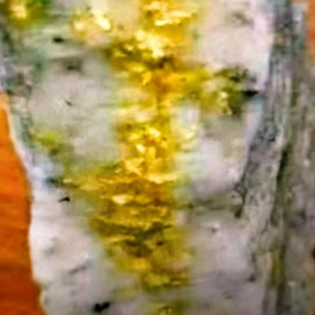小明