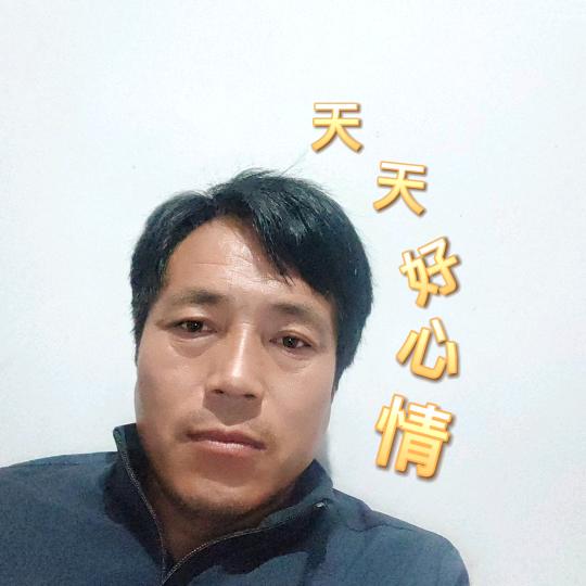 天天好心情