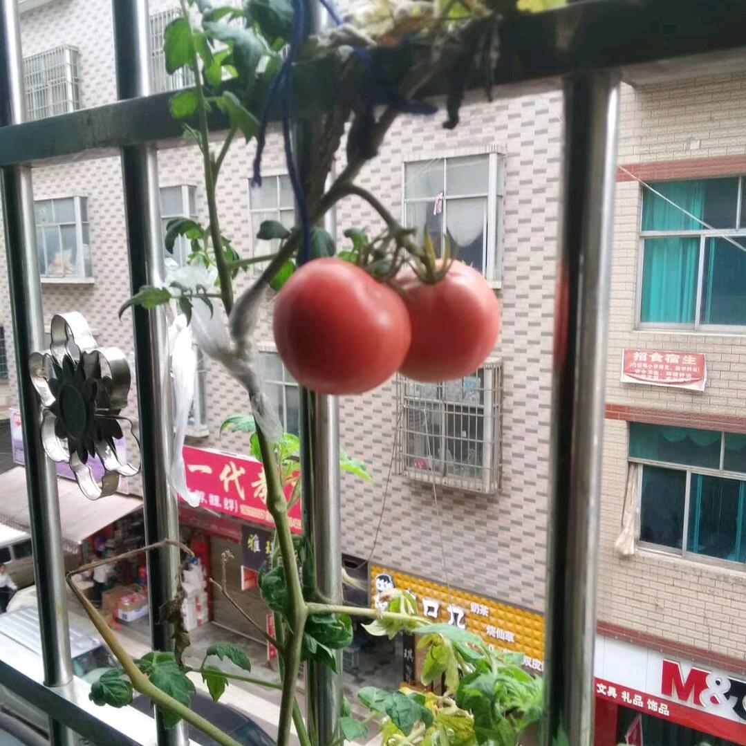 一生有李