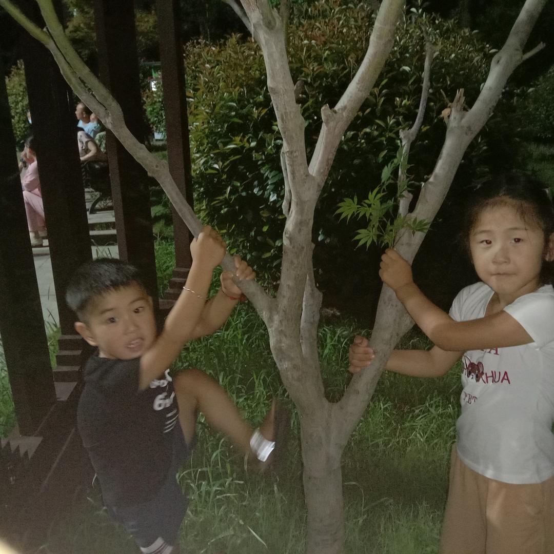 张慧，。。