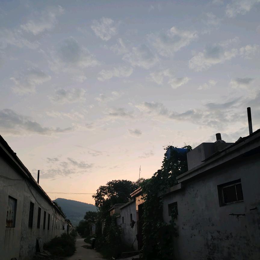 宸茉悠然头像