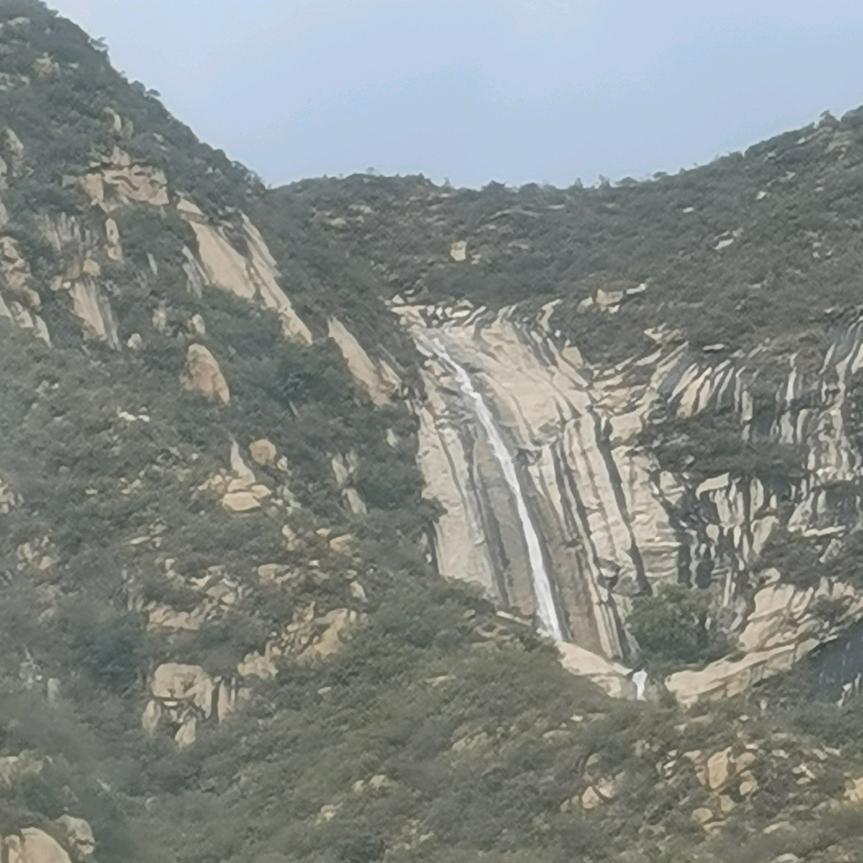 王金田