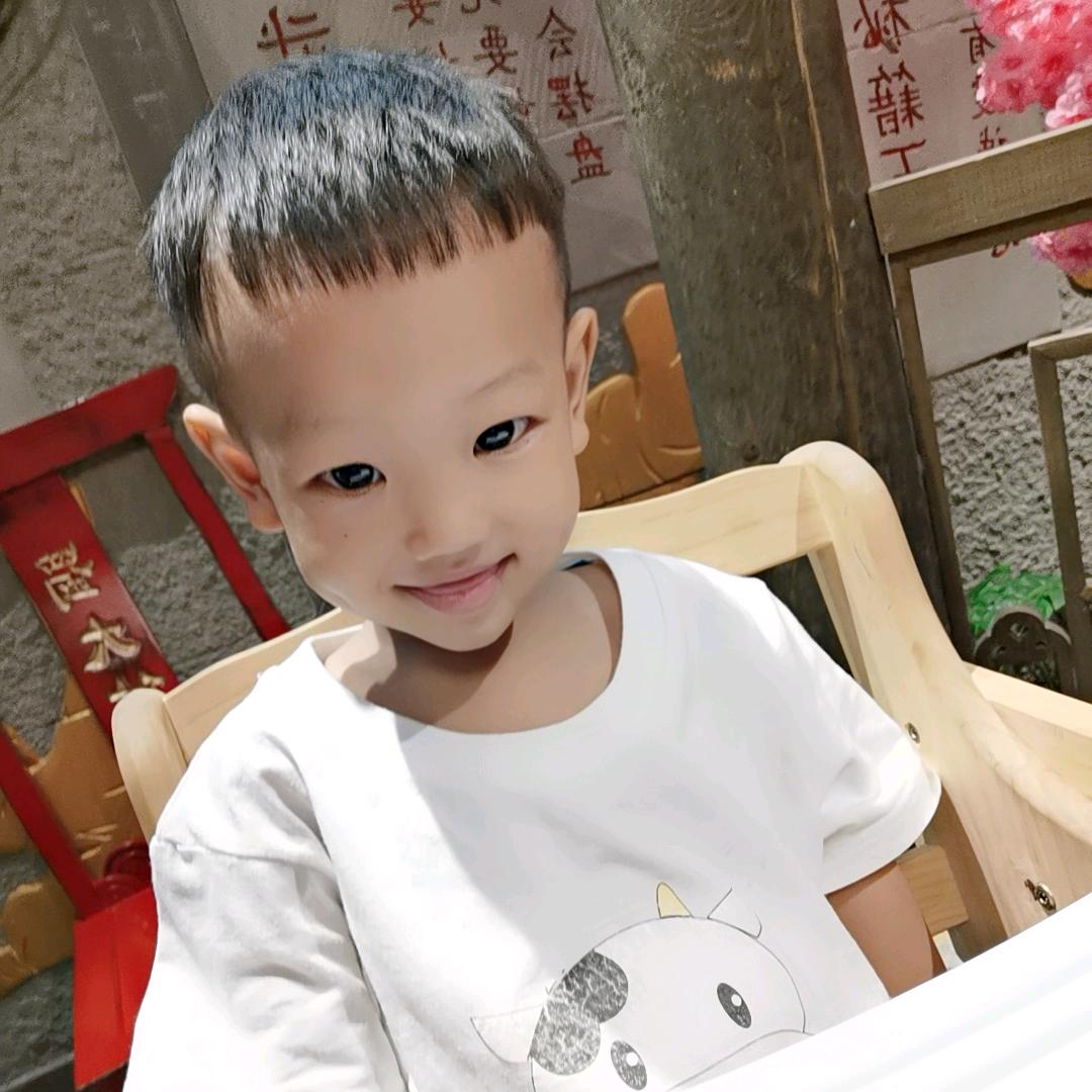 是淡淡的初