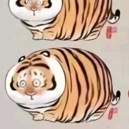 李不懂