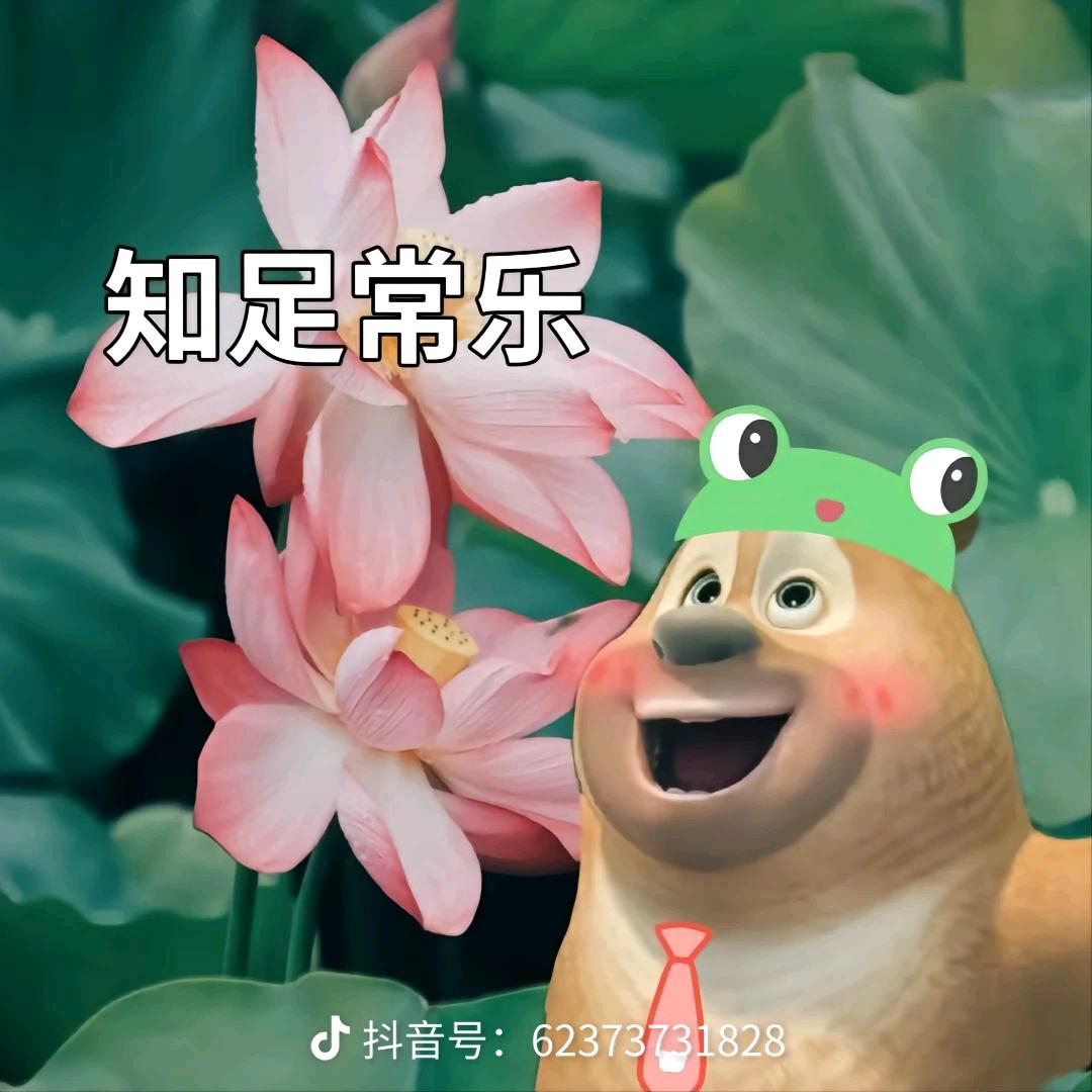 秦小米