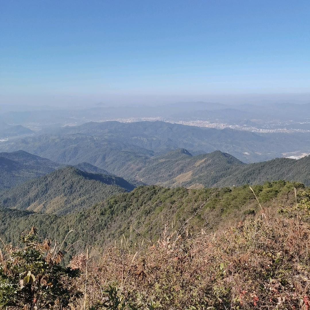 阳光总在风雨后