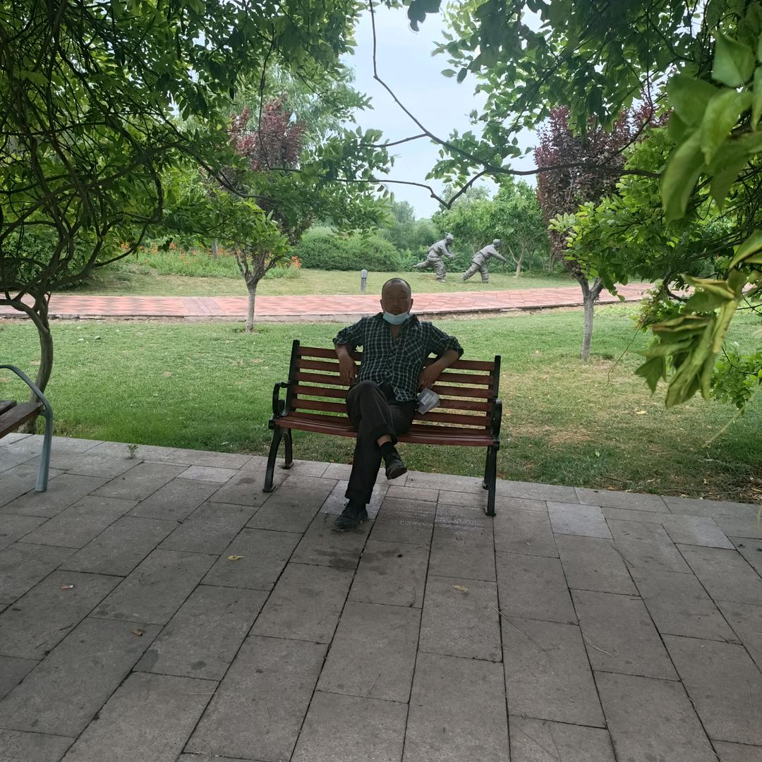 72年的，鼠