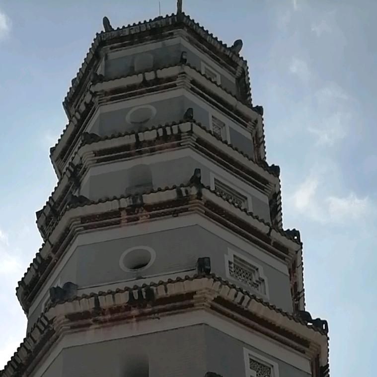 我大爷
