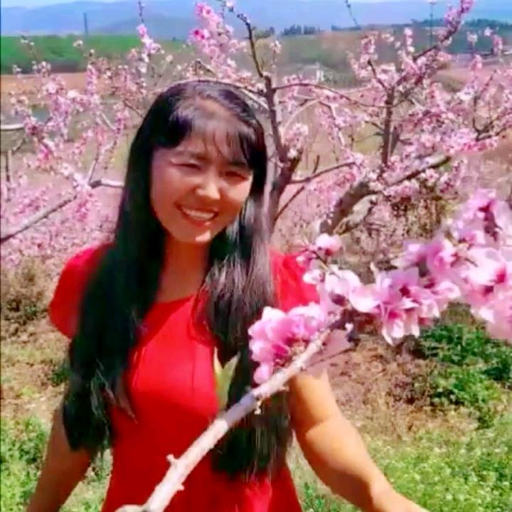 萍香