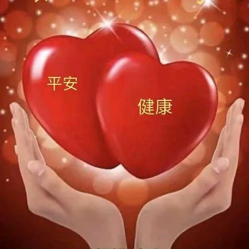 永不凋谢的梅🌺