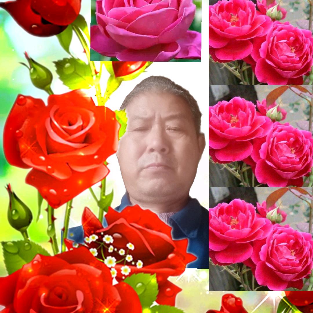 茶农(李)