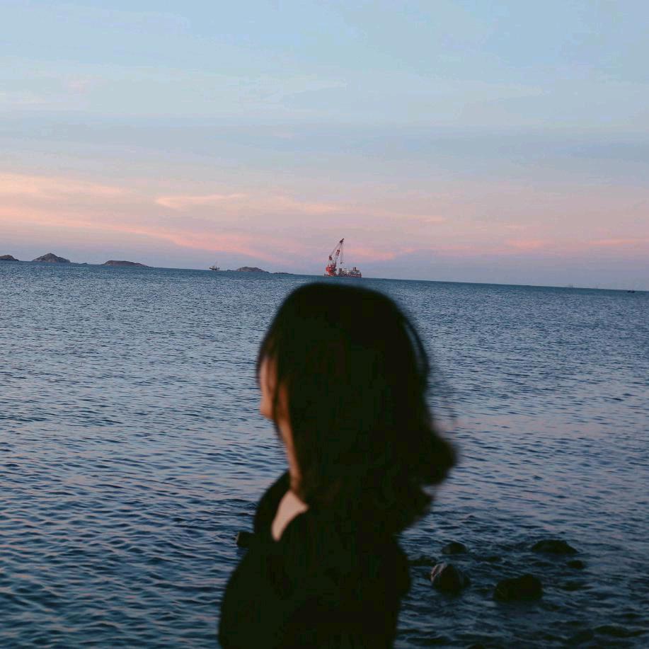 小小鲸📷