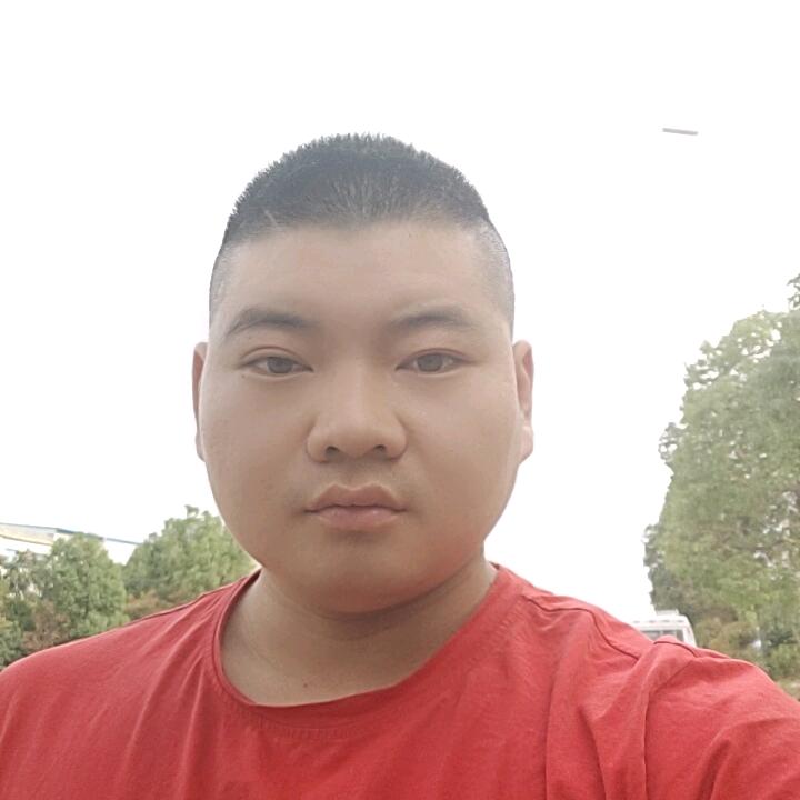 卡车啊龙（浙鄂）