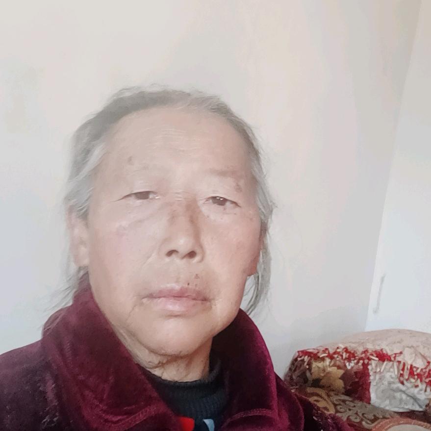 卢启英