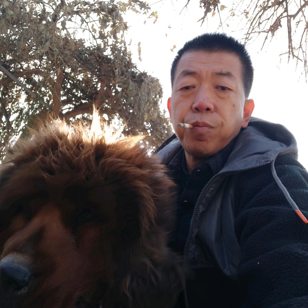 顺其自然