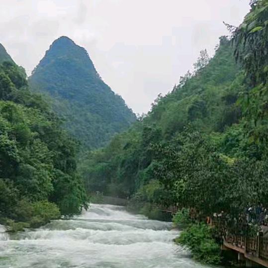 用户3056140324931五月的鲜花