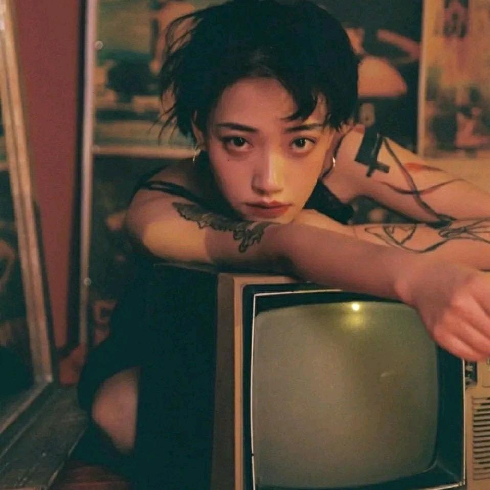 海上森林的一只猫