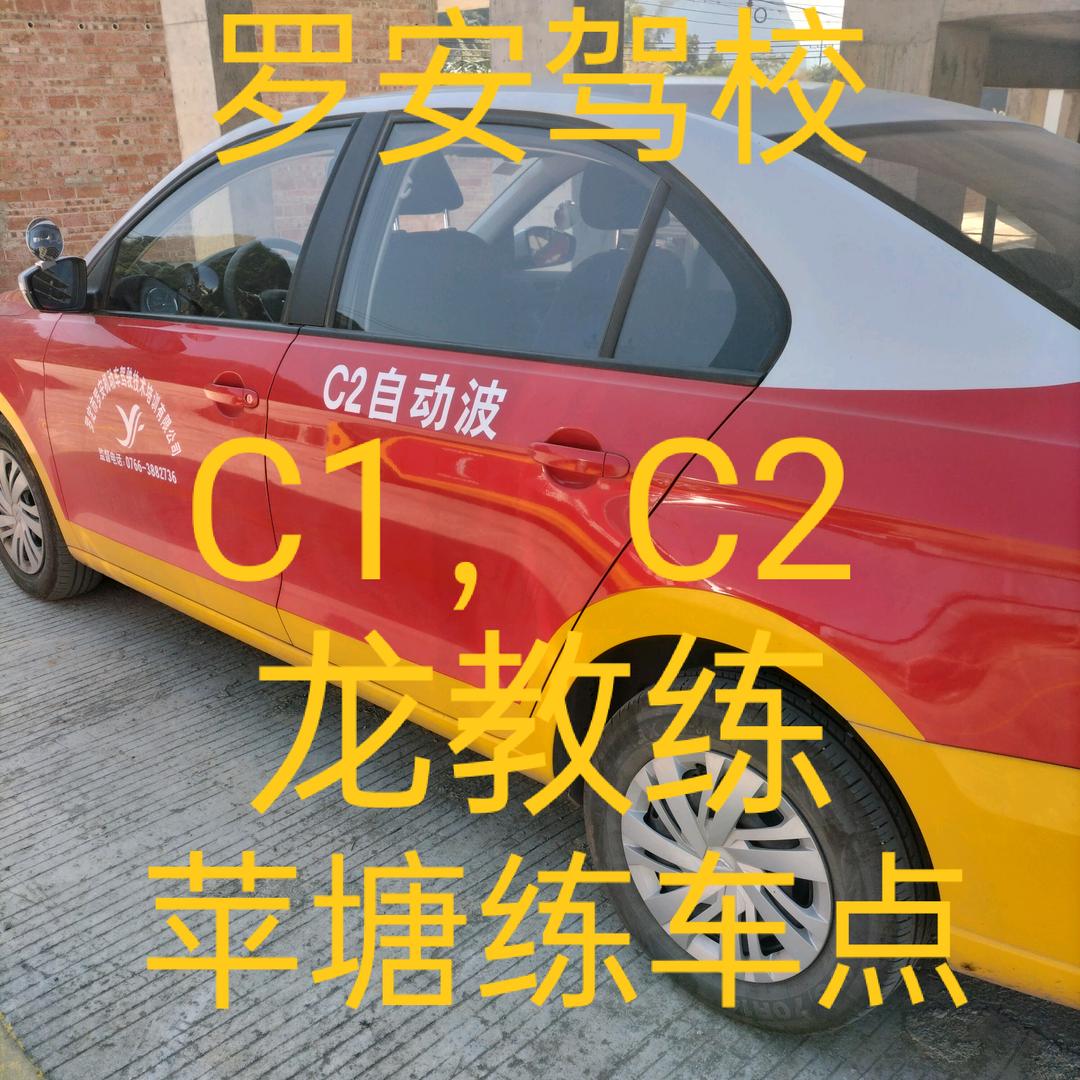苹塘龙教练