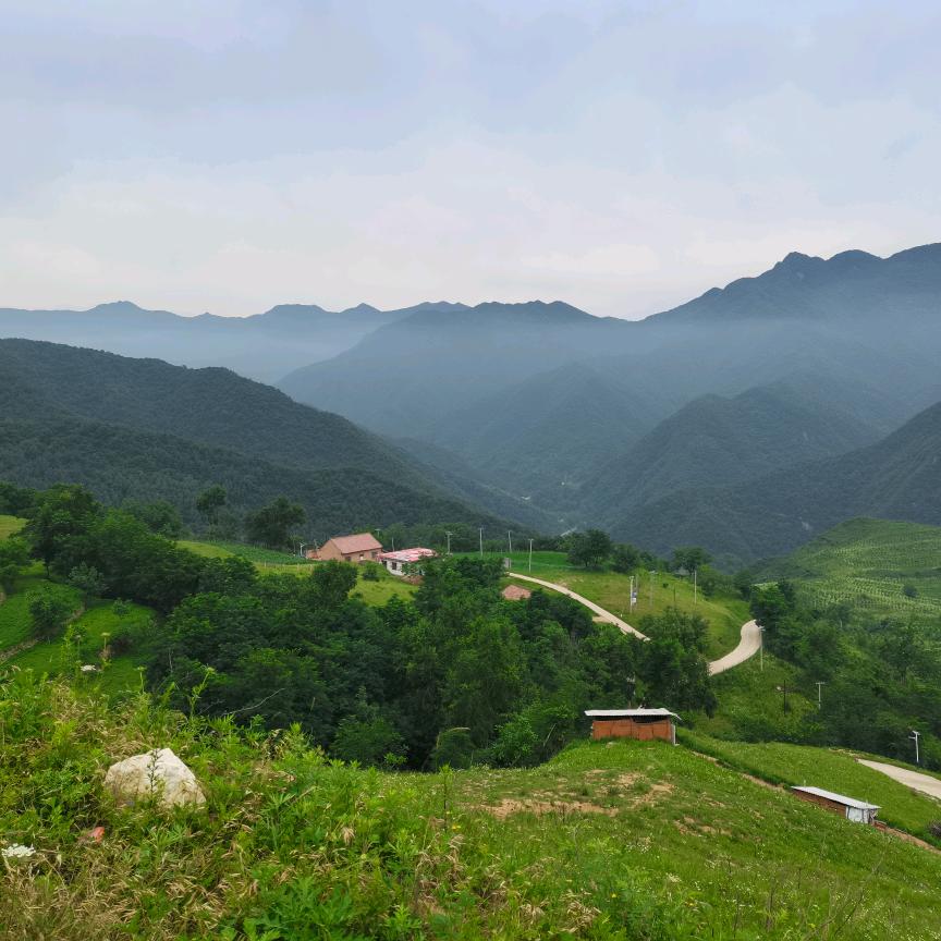 ZhabgLiang
