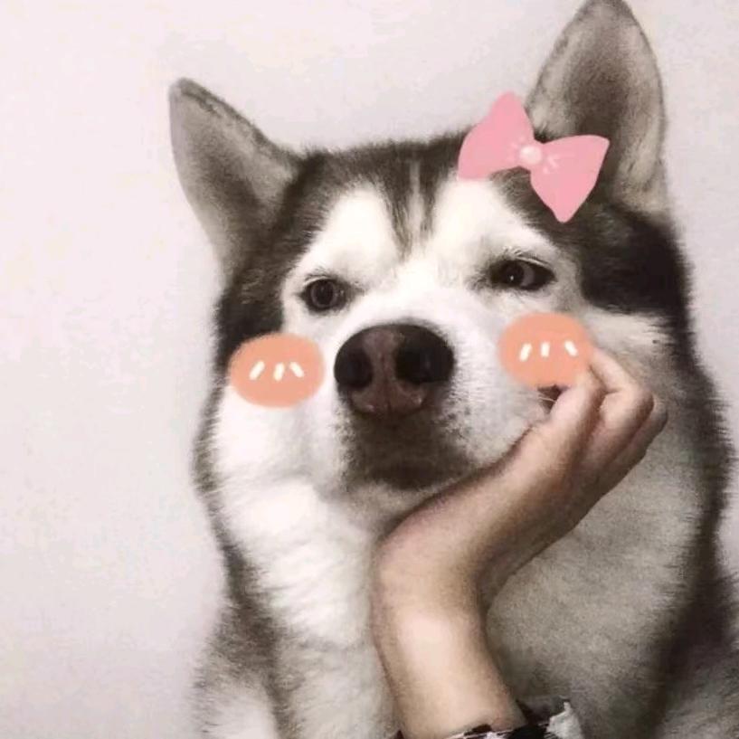 那好呀！