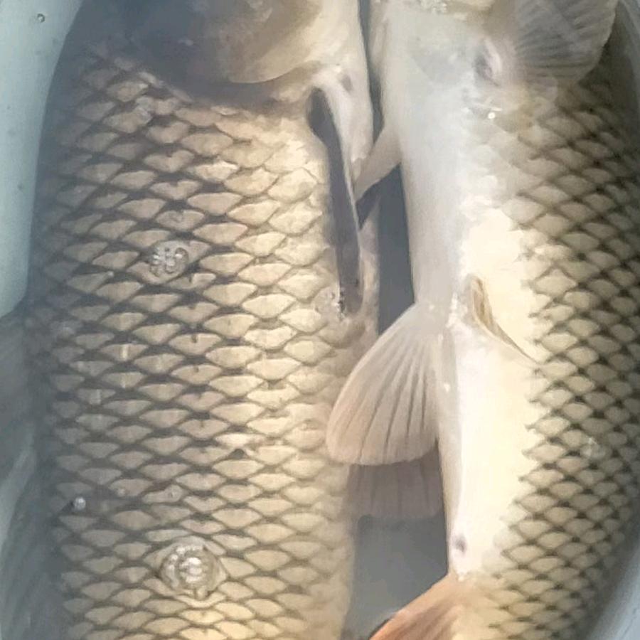 忘记过去从新开始