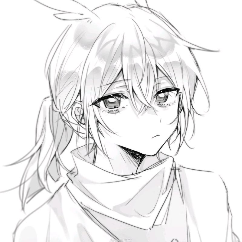 白鸽鸽子